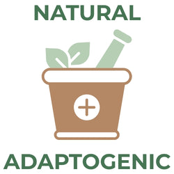 Brown mortar and pestle icon with green leaves and a plus sign, labeled Natural Adaptogenic in green text.