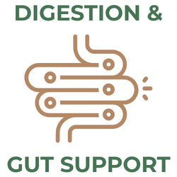 Green text reading DIGESTION & GUT SUPPORT above a stylized brown line-art icon of the human digestive tract.
