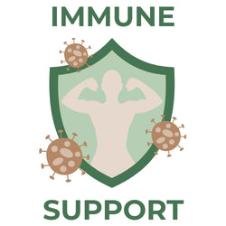 A strong human silhouette flexing inside a green shield, surrounded by brown virus icons with the text Immune Support.