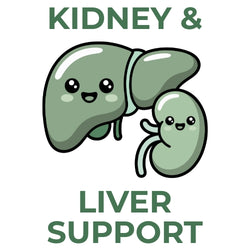 Cute cartoon liver and kidney characters in shades of sage green with the text Kidney & Liver Support.