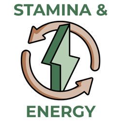 Logo with arrows and a lightning bolt symbolizing stamina and energy on a white background.