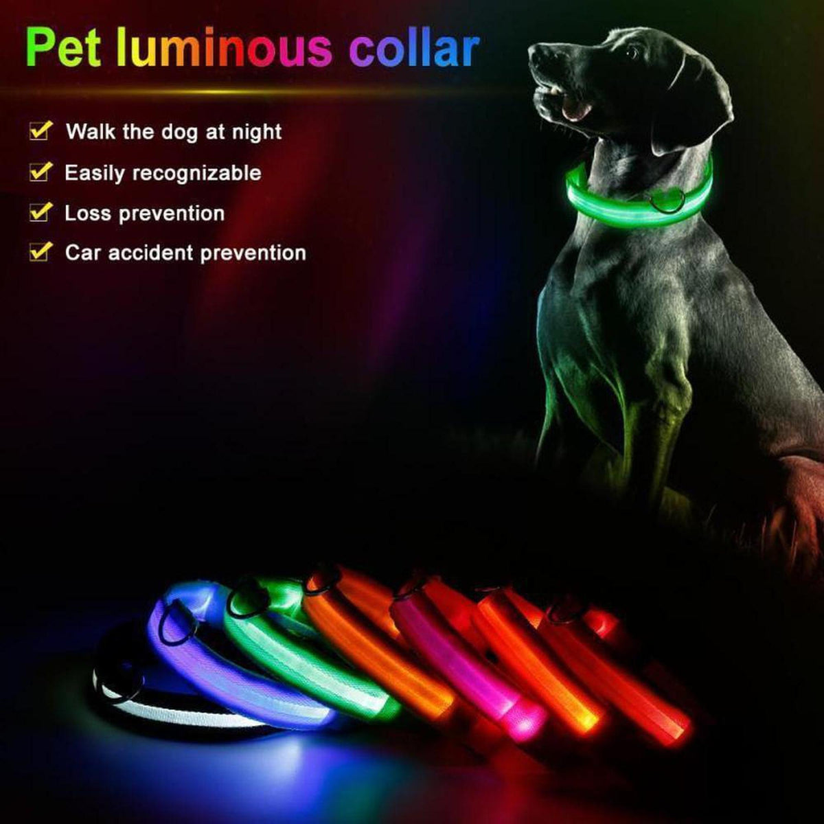 Bright green LED safety dog collar worn by a dog, with a collection of colorful glowing collars displayed below.