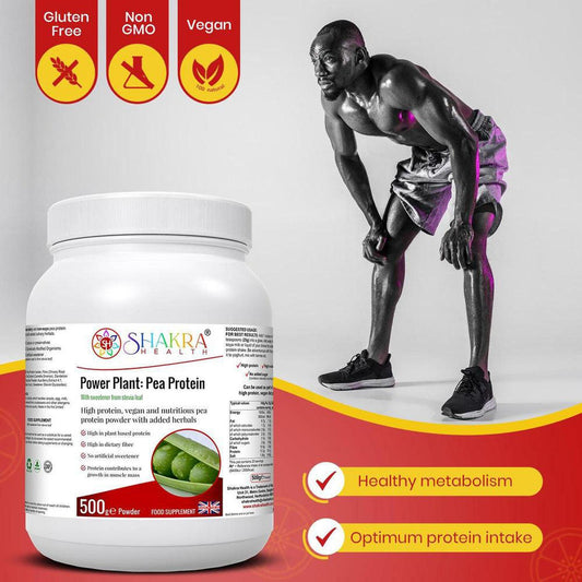 White tub of Shakra Health Power Plant pea protein powder next to a muscular man training in a gym setting.