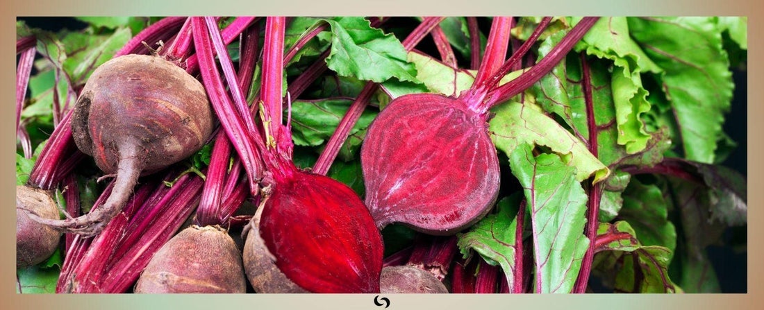 Read about Beetroot - The superfood that "beets" other veg hands down! in Health & Wellbeing Blog | by Sacred Remedy