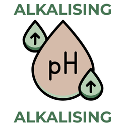Logo with a droplet symbolizing pH levels and the word 'ALKALISING' above and below it.