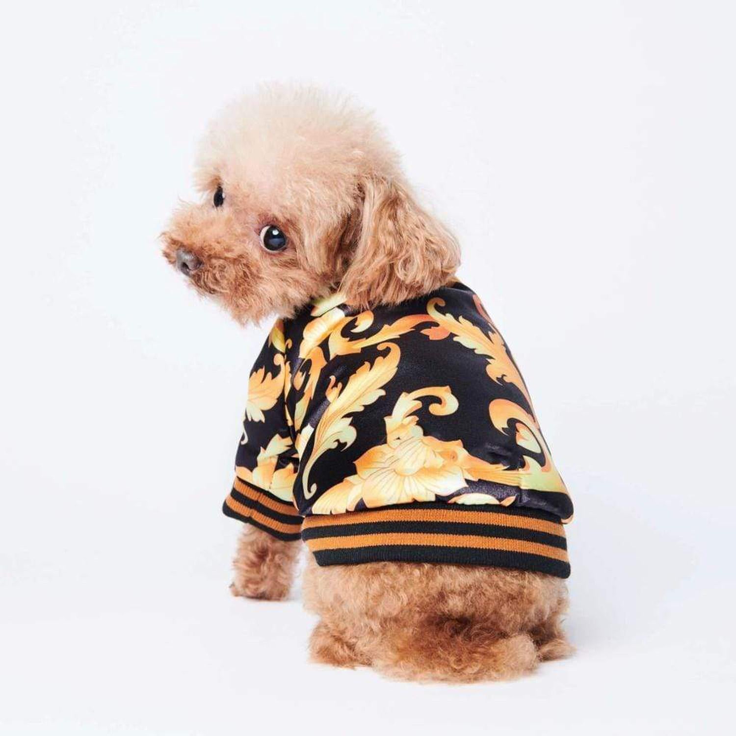 Luxury Dog Bomber Jacket | Gold Baroque Print Pet Fashion - Unleash canine royalty! This luxurious, gold and black designer-inspired dog bomber jacket is soft, lightweight, and perfect for your stylish, pampered pup. Buy Now at Sacred Remedy