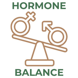 Male and female gender symbols balanced on a seesaw with the text Hormone Balance in green and tan.