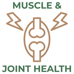 Icon of a human joint with lightning bolt pain symbols and the text Muscle & Joint Health in green and brown.