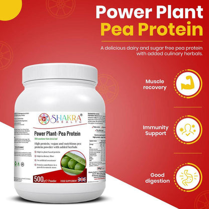 Power Plant: Vegan High Quality Pea Protein Powder with added Phyto-Nutrients - A high quality pea protein powder (from snap peas), blended with a range of other nutrient-dense superfoods and herbs for added antioxidants, fibre and phyto-nutrients - chicory root extract, green tea extract, spirulina powder, acai berry extract and stevea leaf extract as a sweetener. Buy Now at Sacred Remedy