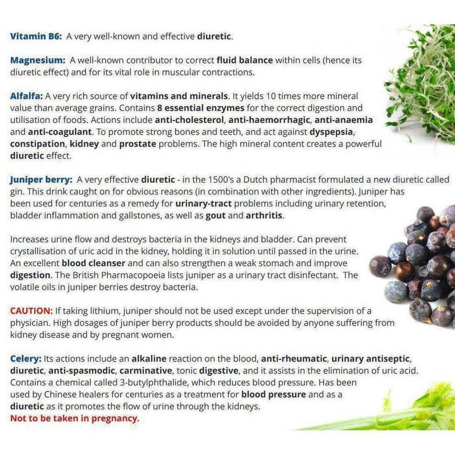 VitaBalance H2go | Fluid Retention, Water Balance & Immune Support Herbal Supplement - A gentle, effective and bioavailable combination of concentrated herbals, vits & other nutrients, designed to support healthy fluid levels in the body & to relieve the symptoms of mild water retention. A natural supplement which facilitates natural weight reduction by eliminating excessive water retention (bodily fluid) in the body. Buy Now at Sacred Remedy