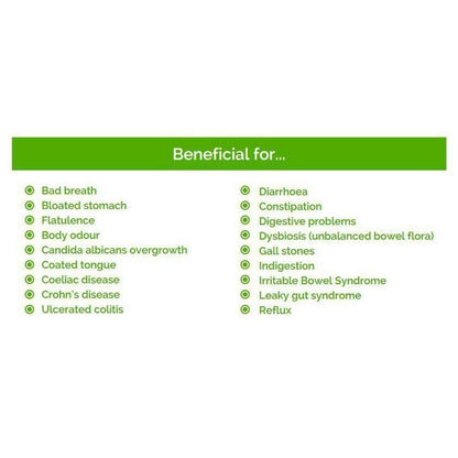 VitaBio Pro | Vegan Multi-Strain Probiotic, Practitioner Strength Supplement - VitaBio Pro: A practitioner-strength, multi-strain probiotic. 20 billion friendly bacteria & 8 strains offer full-spectrum support for a healthy gut. Buy Now at Sacred Remedy