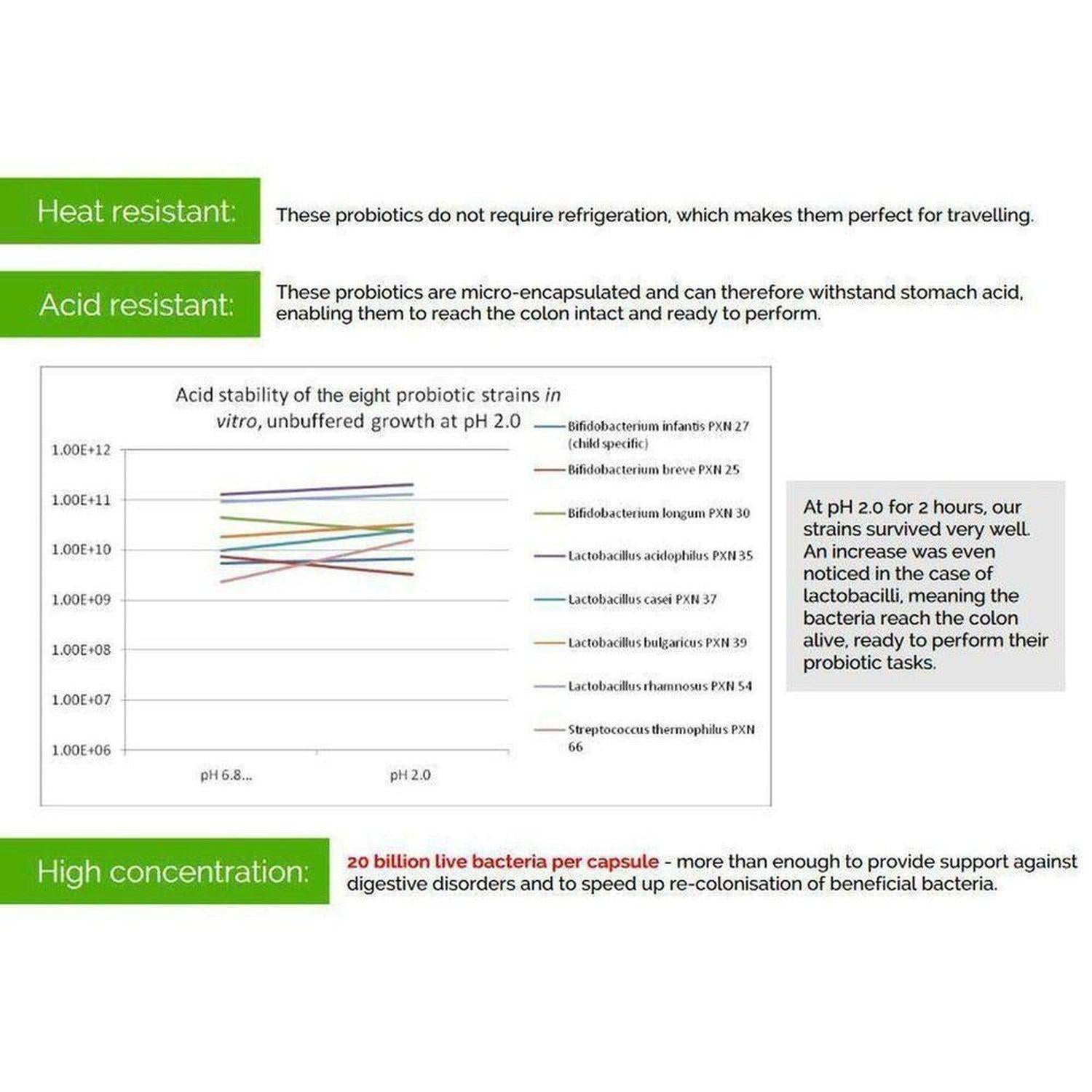 VitaBio Pro | Vegan Multi-Strain Probiotic, Practitioner Strength Supplement - VitaBio Pro: A practitioner-strength, multi-strain probiotic. 20 billion friendly bacteria & 8 strains offer full-spectrum support for a healthy gut. Buy Now at Sacred Remedy