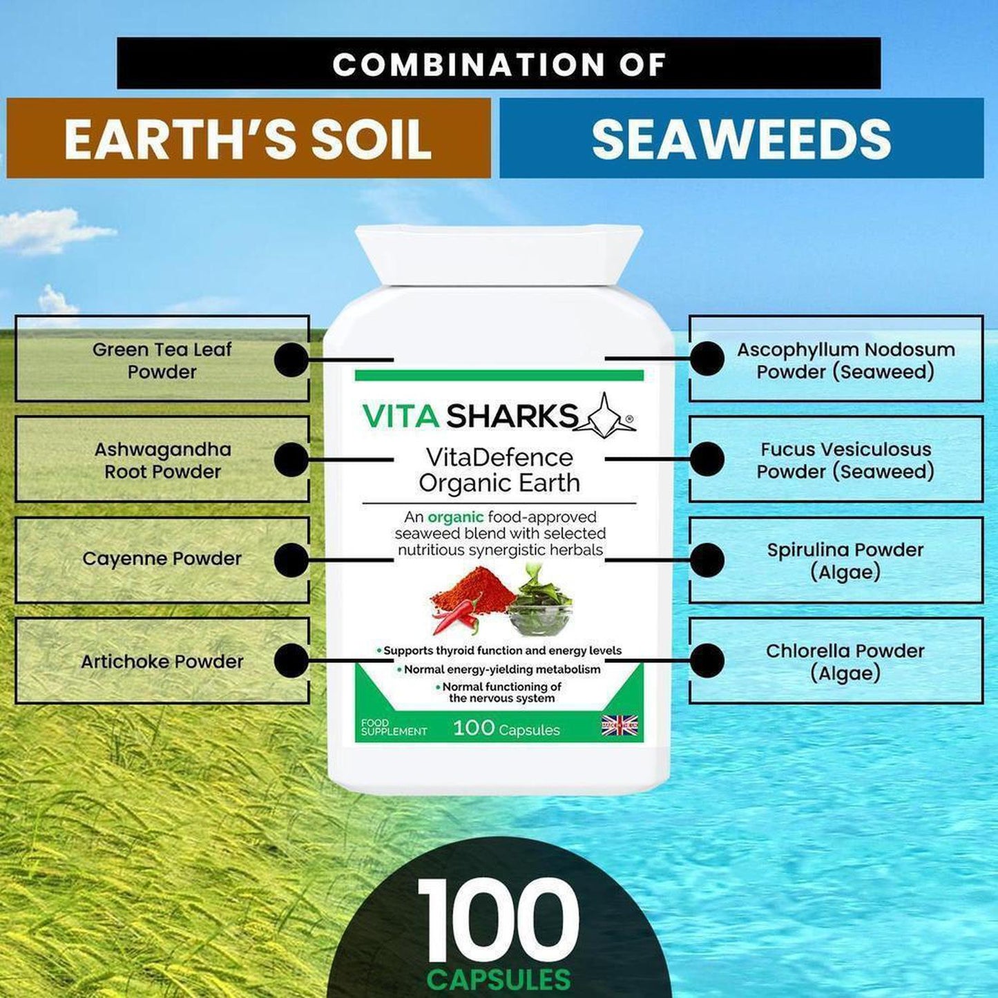 VitaDefence Organic Earth | Organic, Iodine Rich, Alkalising & Detox Supplement - A powerful all-in-one alkalising, cleansing, detoxification and daily nourishment formula, which combines the best of nutrient-dense foods from both the sea and Earth’s soil. This food supplement is iodine-rich and high in a broad spectrum of protective nutrients, including antioxidants, phyto-chemicals, polyphenols, enzymes, amino acids, vitamins and minerals. Buy Now at Sacred Remedy