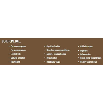 VitaDefence Organic Shiitake+ Maitake, Reishi, Lion's Mane, Chaga Multi-Mushroom Capsules - An organic mushroom immunity blend with Maitake, Reishi, Shiitake, Lion's Mane, Chaga PLUS Astragalus root, Acerola fruit and black pepper - all in one convenient capsule, providing important nutrients (such as vitamin C and vegan vitamin D) and active ingredients that are not found in other plants. Buy Now at Sacred Remedy
