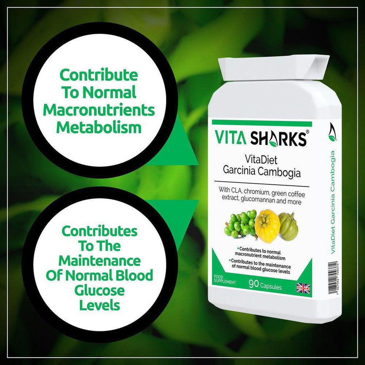 VitaDiet Garcinia Cambogia | Slimmer Support Complex with CLA - Love your silhouette with VitaDiet Garcinia Cambogia! Helps manage appetite. It's the perfect partner to help you shed those pesky love handles and get the most out of your diet and exercise routine. A powerful combination of ingredients encourages your metabolism, allowing you to experience maximal toning and shaping effects! Buy Now at Sacred Remedy