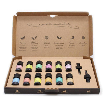 Twelve 5ml essential oil bottles with colorful labels in a brown cardboard gift box with two glass droppers.