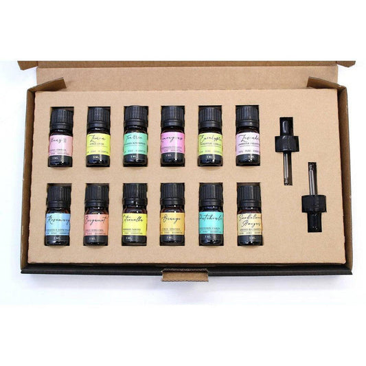 Set of 12 essential oil bottles with colorful labels and two glass droppers in a brown cardboard display box.