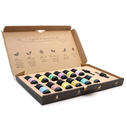 Twelve 5ml essential oil bottles with colorful labels in a brown cardboard box with an aromatherapy guide.