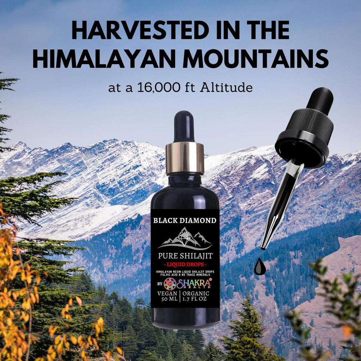 Black Diamond 50ml liquid shilajit dropper bottle against a scenic Himalayan mountain background.