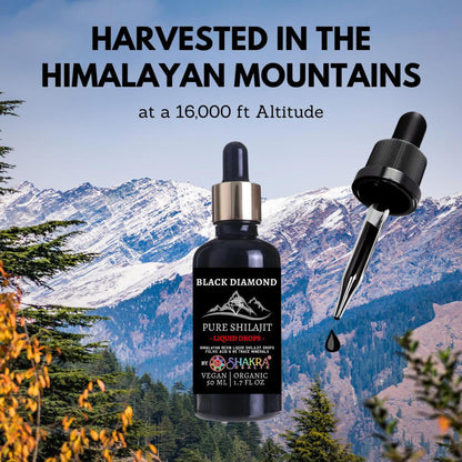 Black Diamond 50ml liquid shilajit dropper bottle against a scenic Himalayan mountain background.