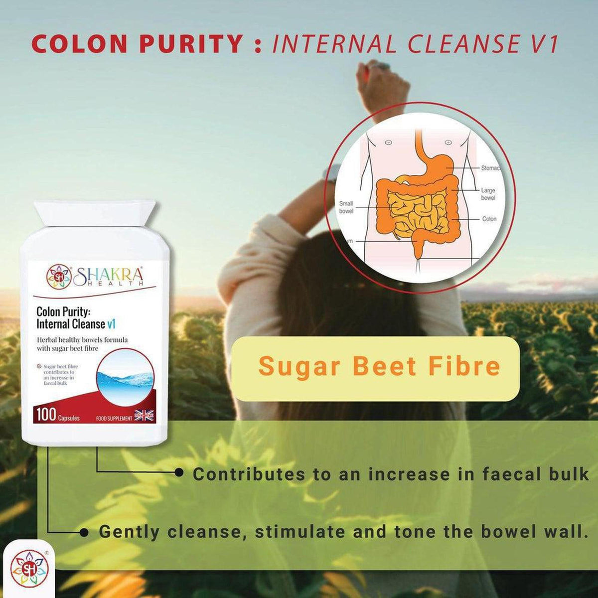 White bottle of Colon Purity 100 capsules with a digestive system diagram and sugar beet fibre text overlay.