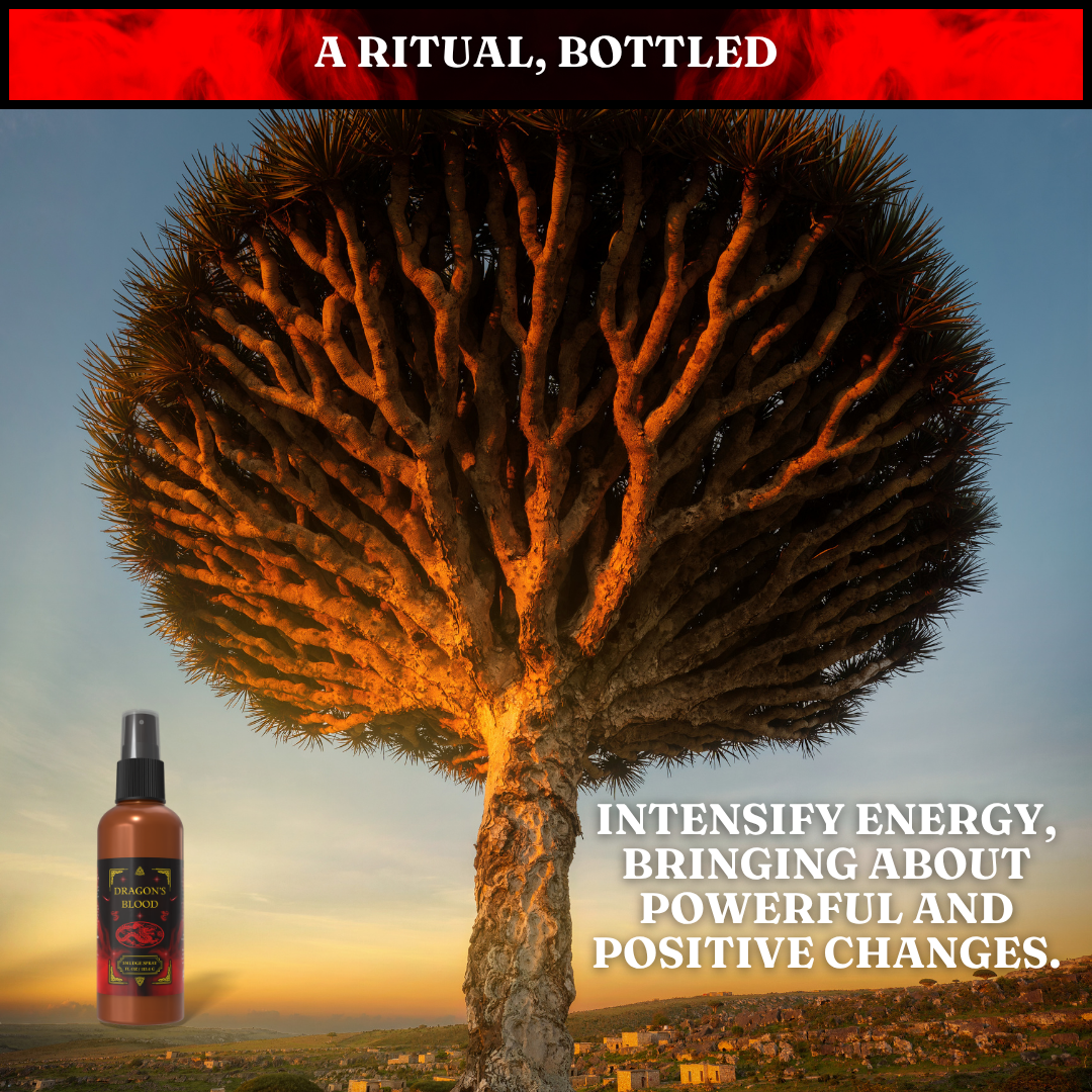 Dragon's Blood Smudge Spray | Protection & Grounding Mist - Harness ancient power with our Dragons Blood Smudge Spray. This quirky, eco-conscious mist protects your energy, purifies your space, and smells amazing. Organic, vegan, and cruelty-free! Buy Now at Sacred Remedy