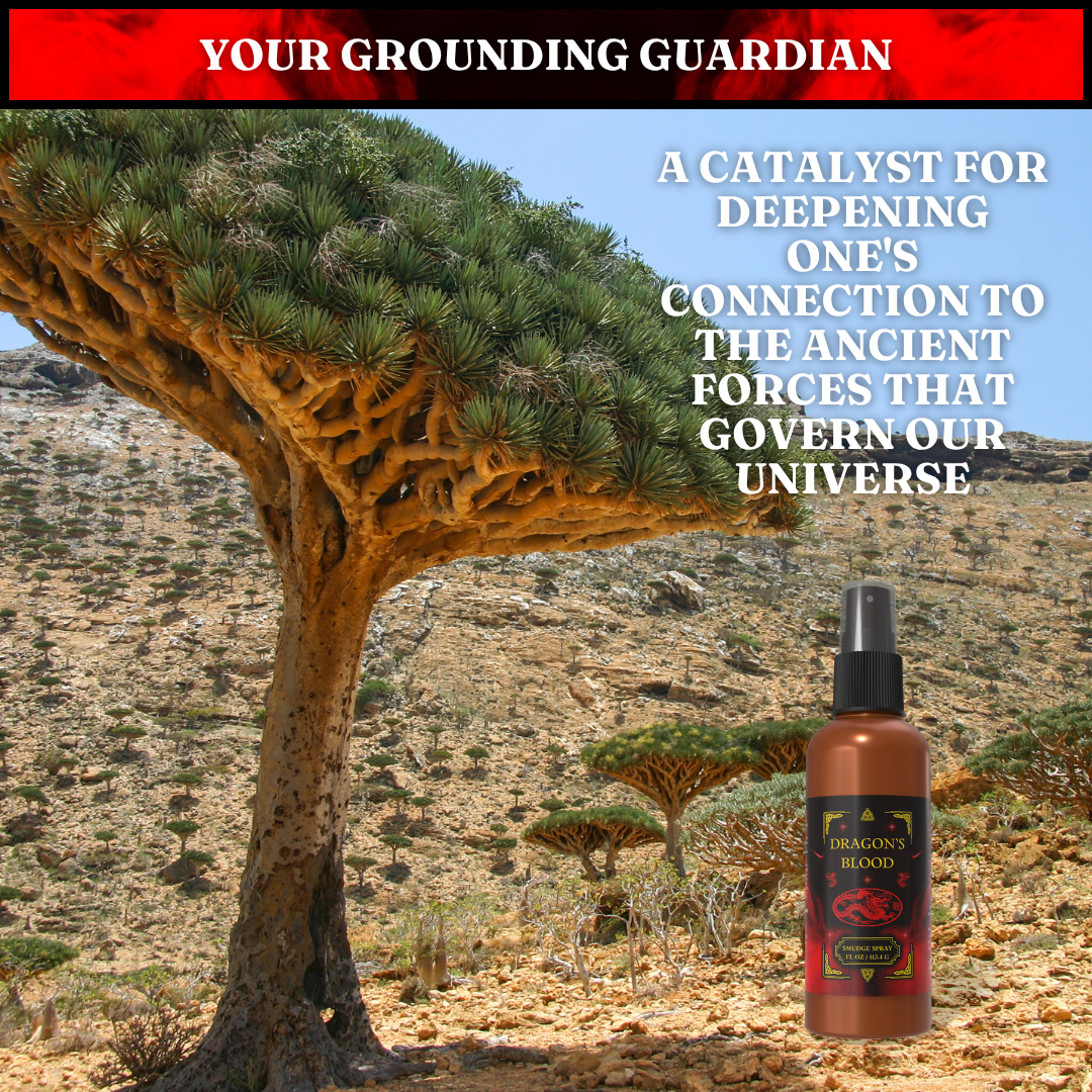 Dragon's Blood Smudge Spray | Protection & Grounding Mist - Harness ancient power with our Dragons Blood Smudge Spray. This quirky, eco-conscious mist protects your energy, purifies your space, and smells amazing. Organic, vegan, and cruelty-free! Buy Now at Sacred Remedy