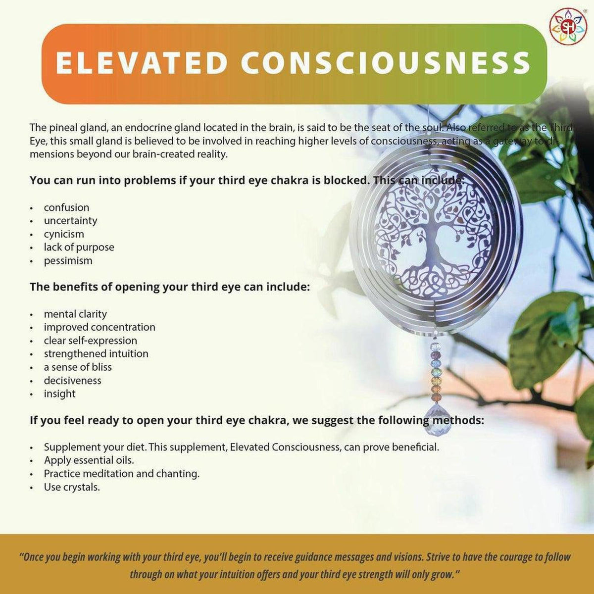 Elevated Consciousness product flyer featuring a metallic tree of life wind spinner with colorful crystal beads.