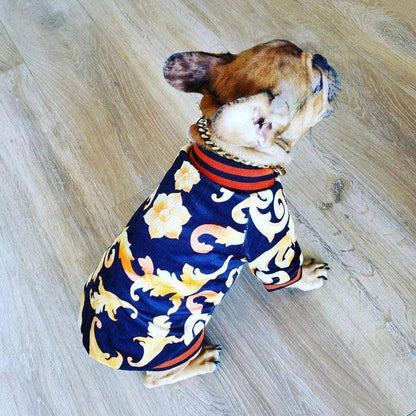 French bulldog wearing a black and gold baroque print bomber jacket with orange ribbed knit trim.