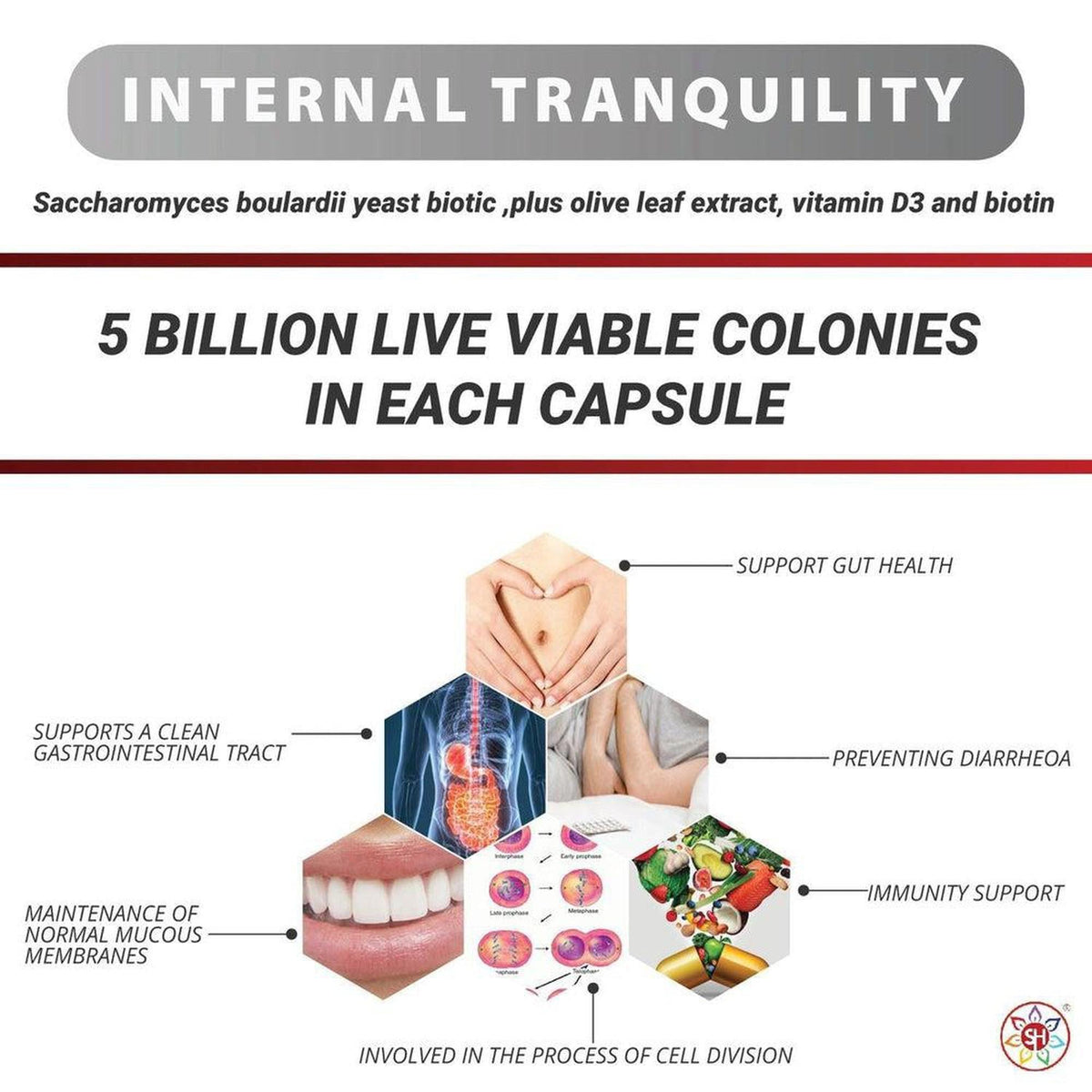 Internal Tranquility supplement infographic showing gut health benefits, cell division diagrams, and healthy food icons.