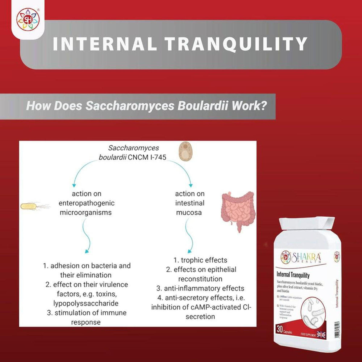 Internal Tranquility supplement bottle next to an educational infographic explaining how Saccharomyces Boulardii works.