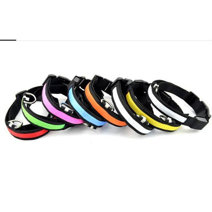 Set of colorful LED safety dog collars with durable nylon straps and secure black buckles for night visibility.