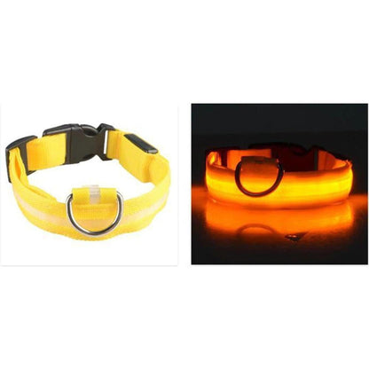 Bright yellow LED safety dog collar with a durable buckle and metal D-ring, shown in daylight and glowing in the dark.