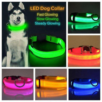 Bright LED nylon dog collar with 360-degree glow, featuring adjustable buckle and multiple vibrant color light modes.