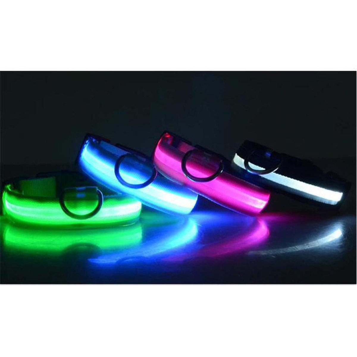 Four LED safety dog collars in green, blue, pink, and white glowing against a dark background with metal D-rings.