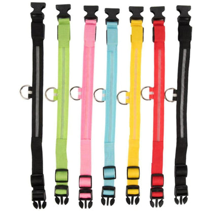 Seven colorful LED safety dog collars in nylon with black buckles and reflective strips arranged vertically.