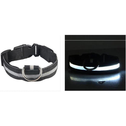 Black nylon LED dog collar with a durable buckle and metal D-ring, shown in daylight and glowing bright white at night.