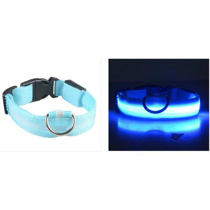 Light blue nylon LED dog collar with a black buckle and metal D-ring shown in daylight and glowing bright blue at night.