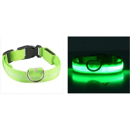 Bright green LED safety dog collar made of durable nylon with a sturdy buckle and glowing fiber optic light strip.