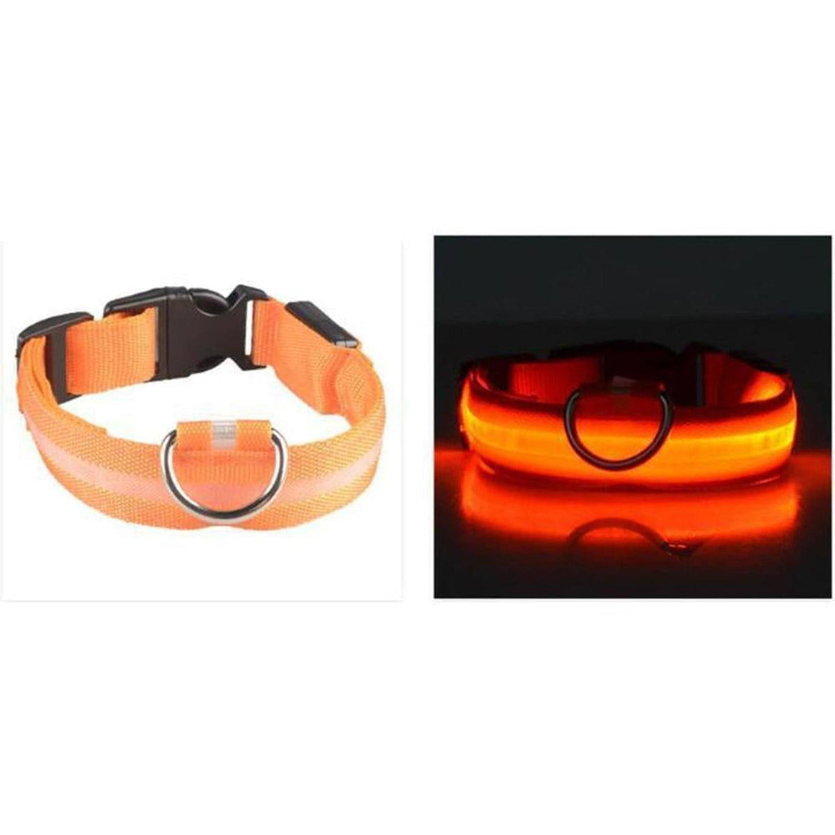 Bright orange LED dog collar with a durable buckle and metal D-ring, shown in both daylight and illuminated modes.