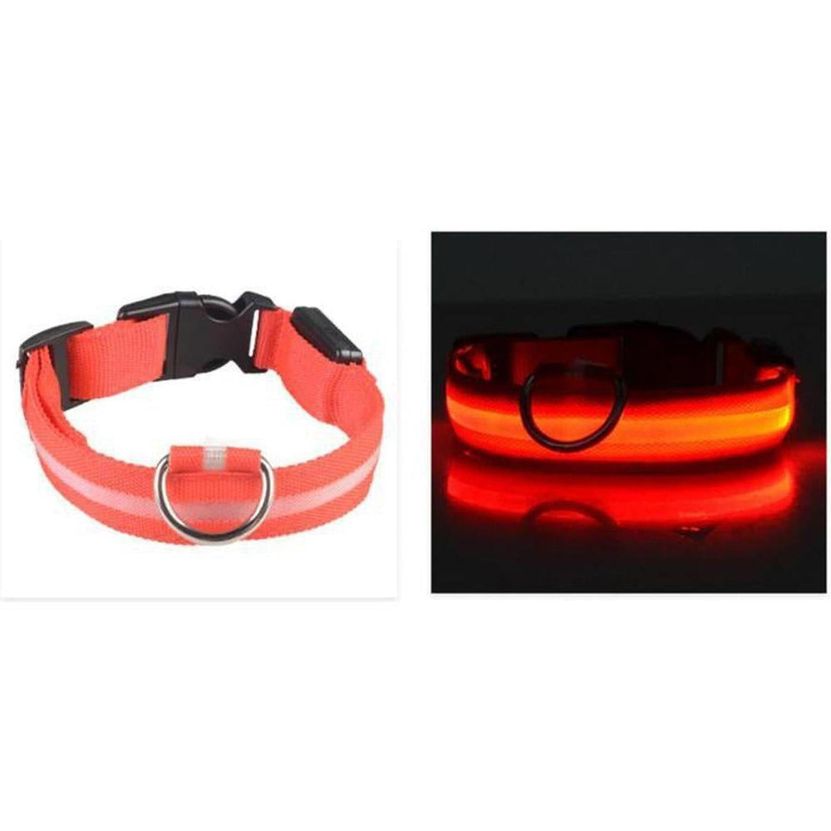 Bright red LED safety dog collar made of durable nylon with a sturdy buckle and metal D-ring, shown off and illuminated.