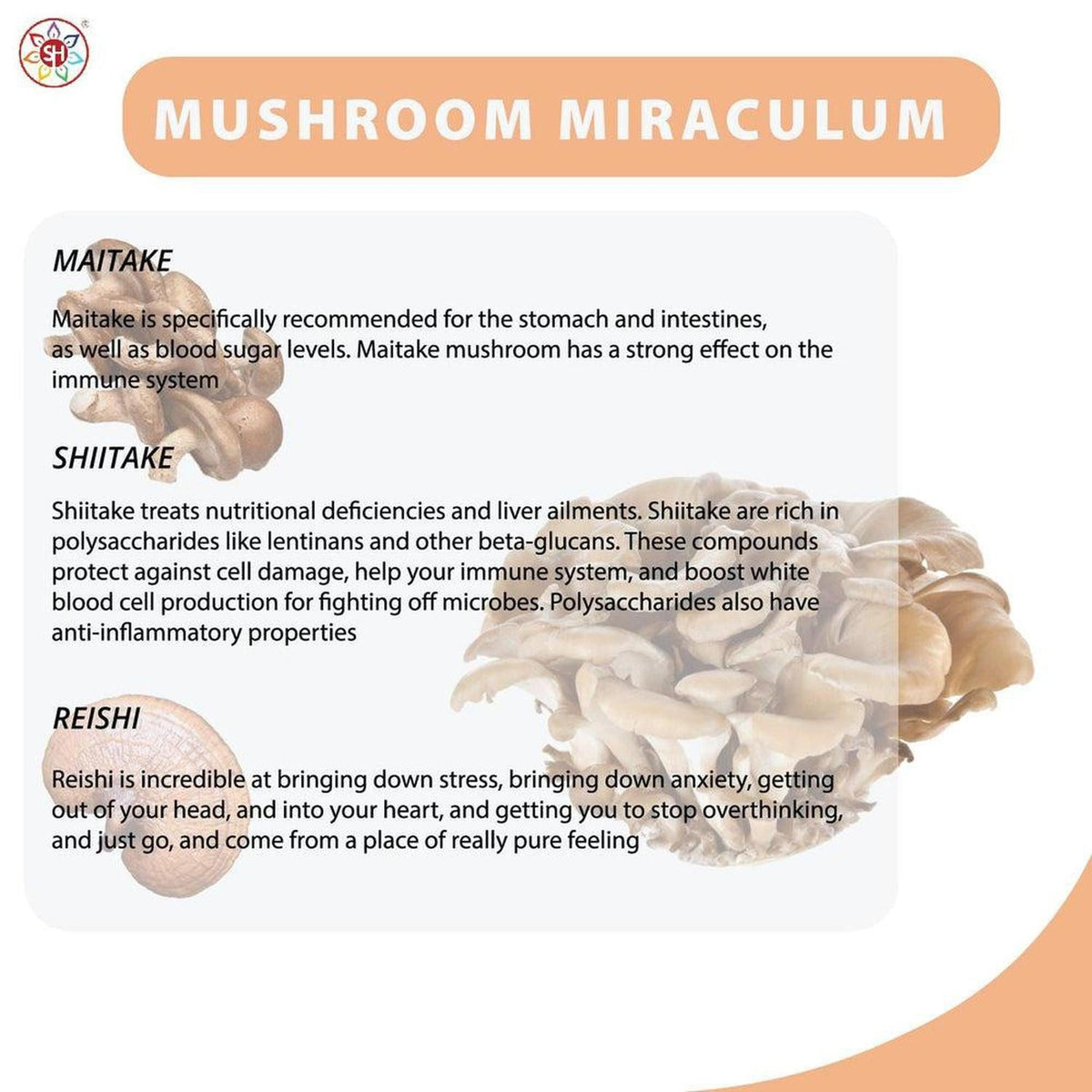 Mushroom Miraculum infographic with text descriptions and images of Maitake, Shiitake, and Reishi mushrooms.