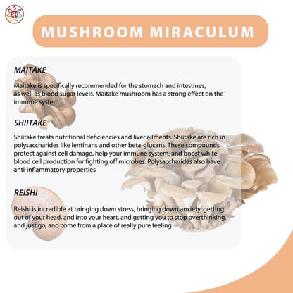Mushroom Miraculum infographic with text descriptions and images of Maitake, Shiitake, and Reishi mushrooms.