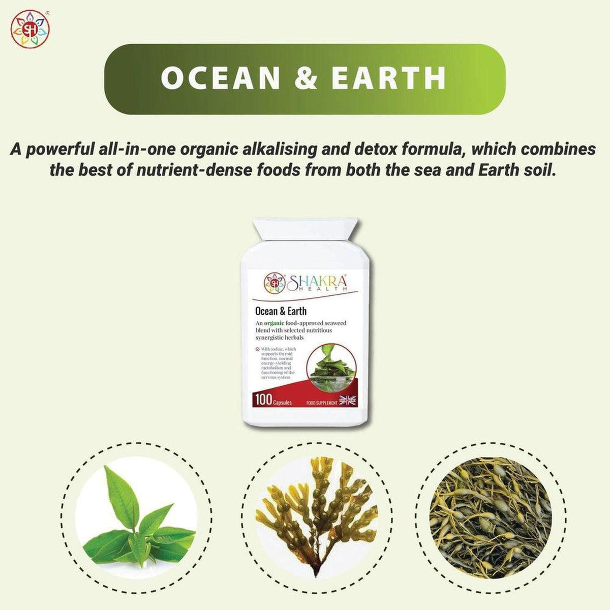 White bottle of Ocean & Earth 100 capsules with green leaf and seaweed imagery on a light background.