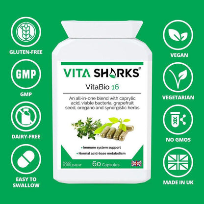 VitaBio 16 supplement bottle on green background with icons for vegan, gluten-free, and non-GMO dietary certifications.