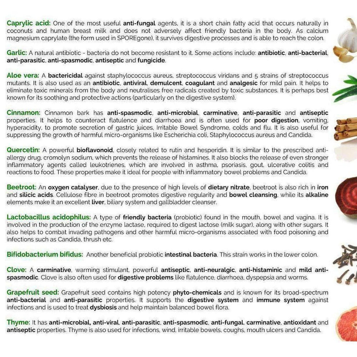 Informational chart detailing natural ingredients like garlic, aloe, and clove for digestive health and yeast support.