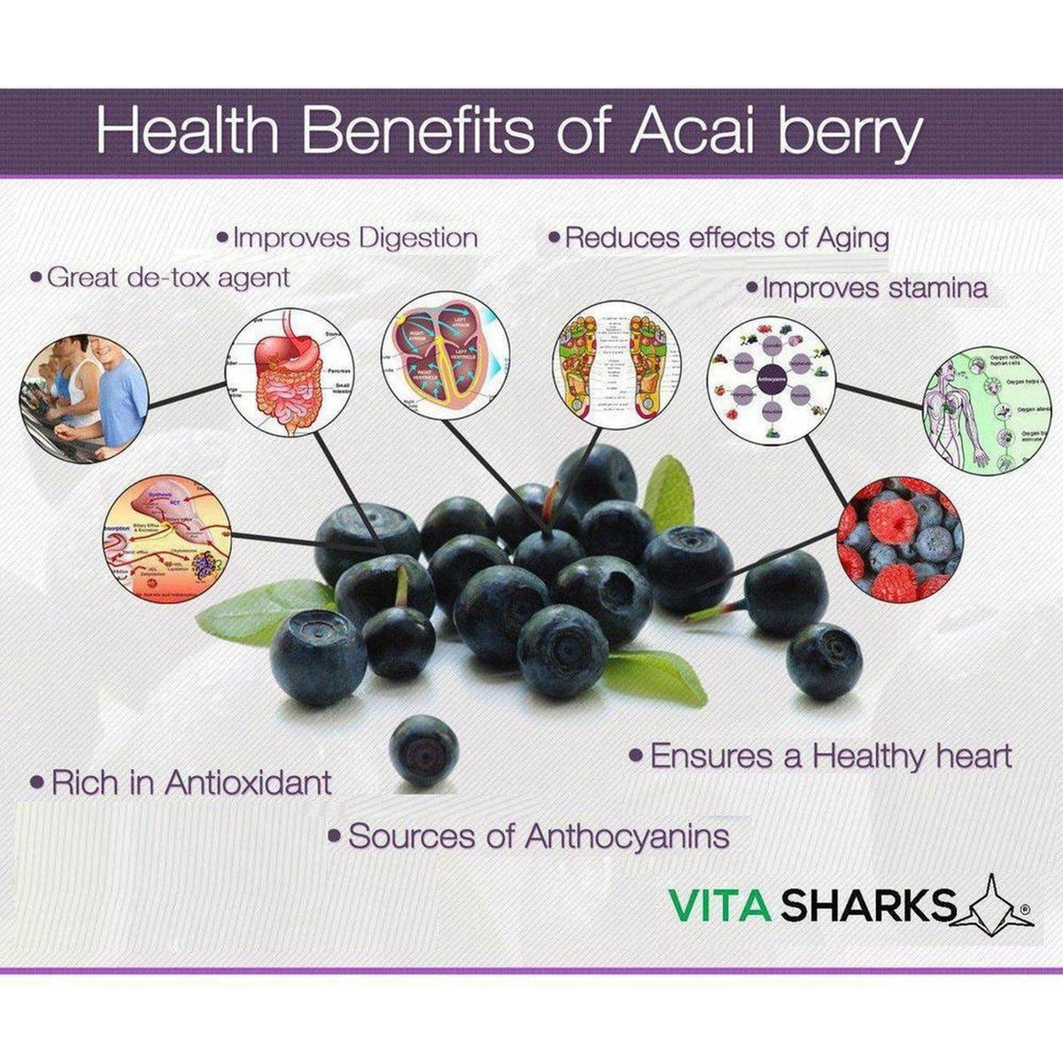 Fresh acai berries surrounded by infographic circles detailing health benefits like digestion, heart health, and stamina.