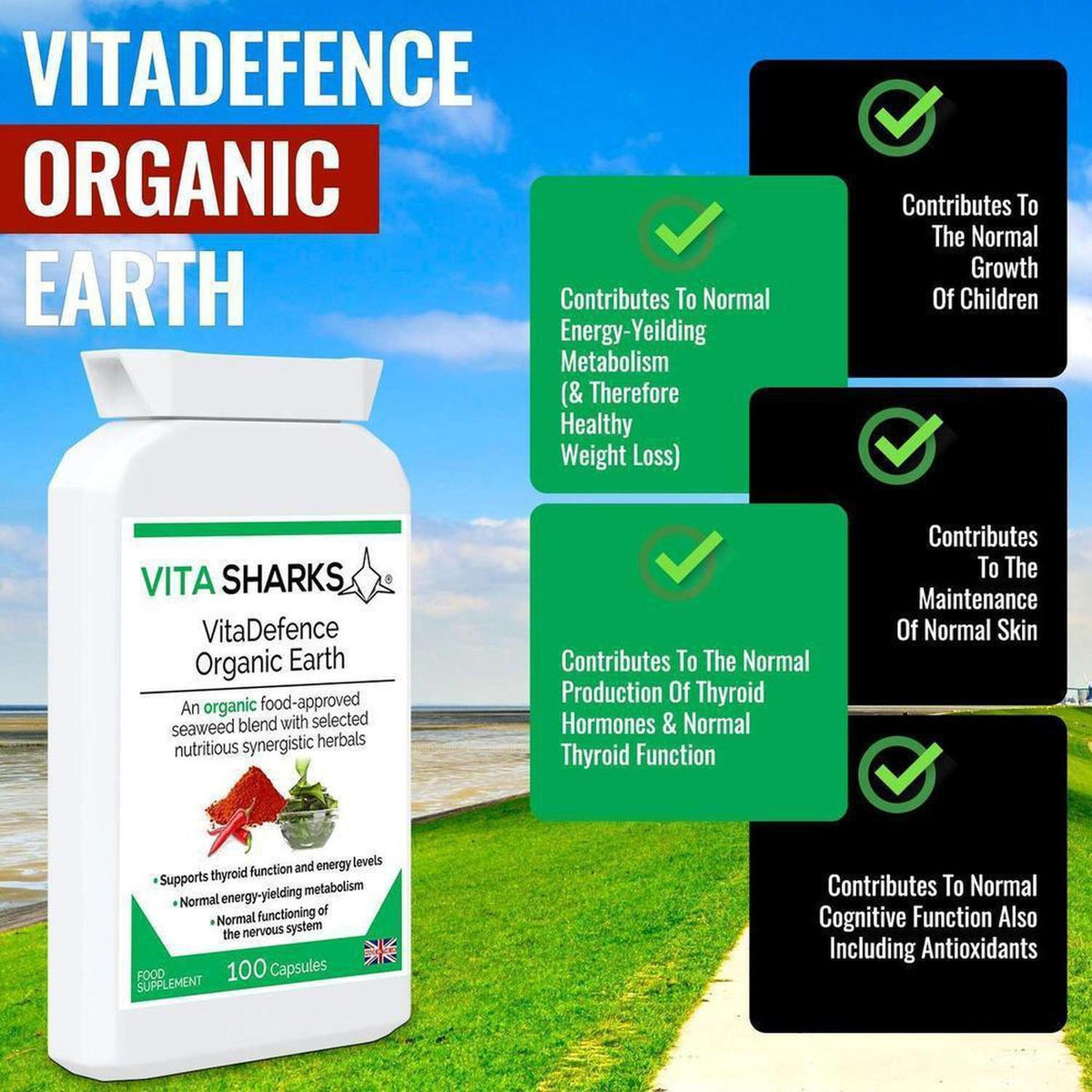VitaDefence Organic Earth supplement bottle with health benefit text boxes against a coastal landscape background.