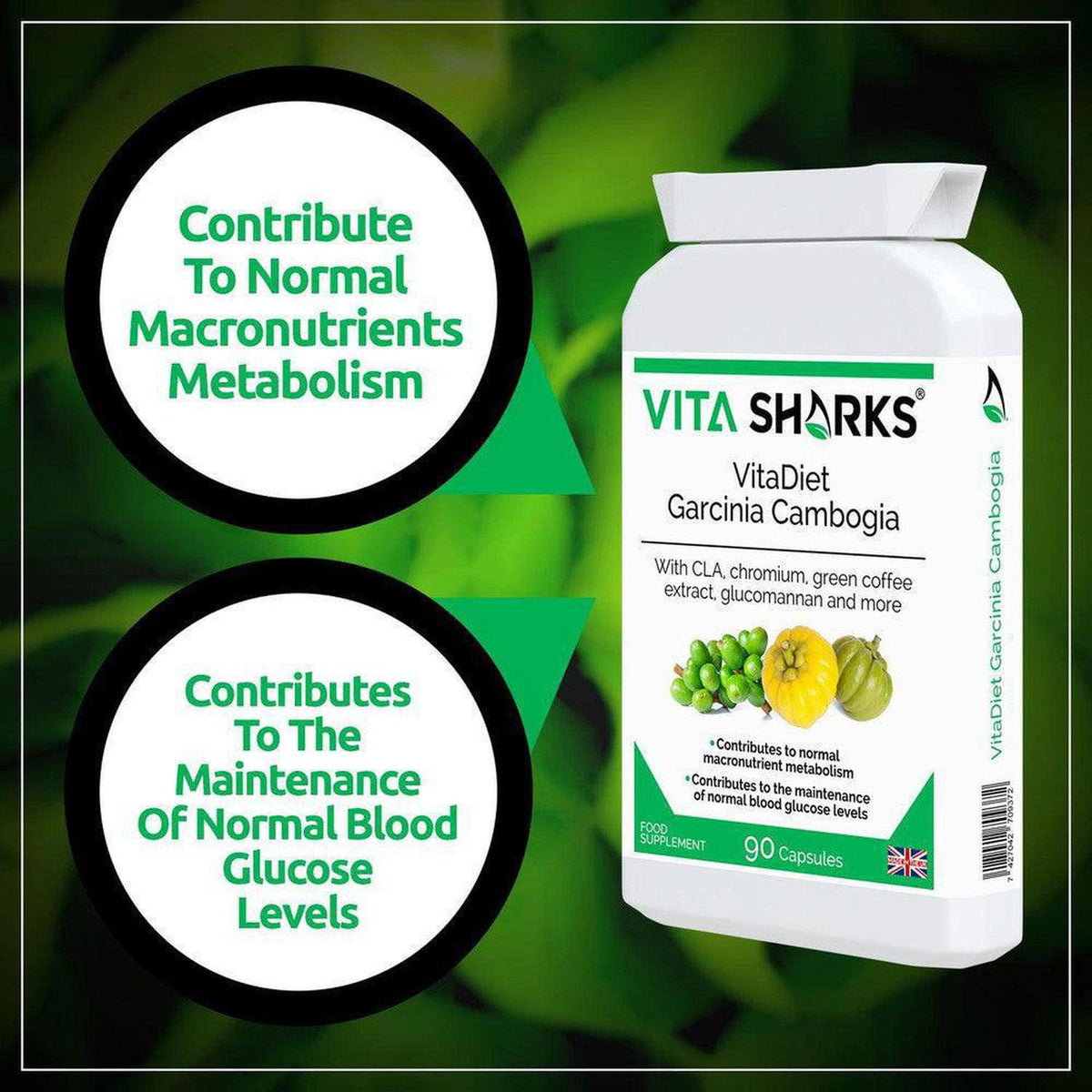White bottle of VitaDiet Garcinia Cambogia capsules with green label, featuring text on metabolism and blood glucose support.