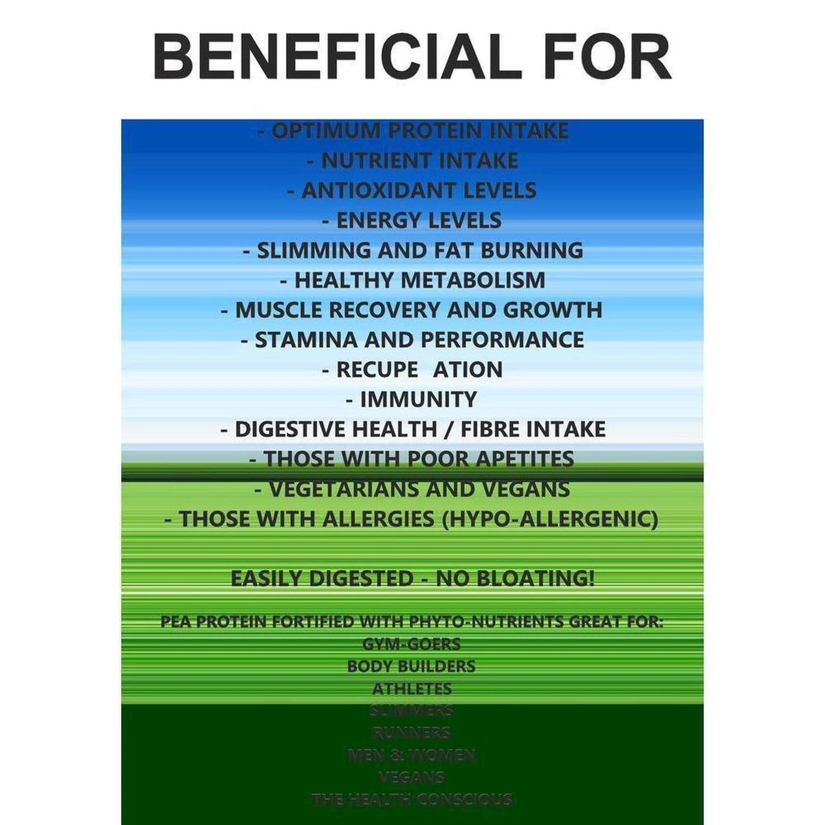 Blue and green gradient infographic listing health benefits and target users for VitaNourish Power Pea protein shake.